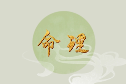 测命盘|占星命盘详解|流年命盘排盘|流年命盘查询|排紫微斗数盘